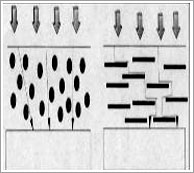 Barrier Effect
